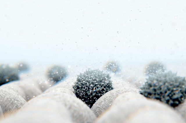 A person's cupped hands hold dark pebbles or stones covered with water droplets against a blurred background.