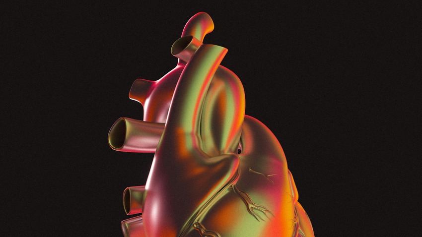 Chelohart Peptide Bioregulator: Research Guide to Cardiac Mechanisms 3 3D model of a heart