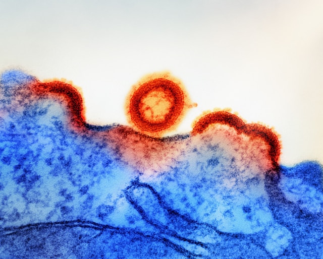 Proxofim peptide research
